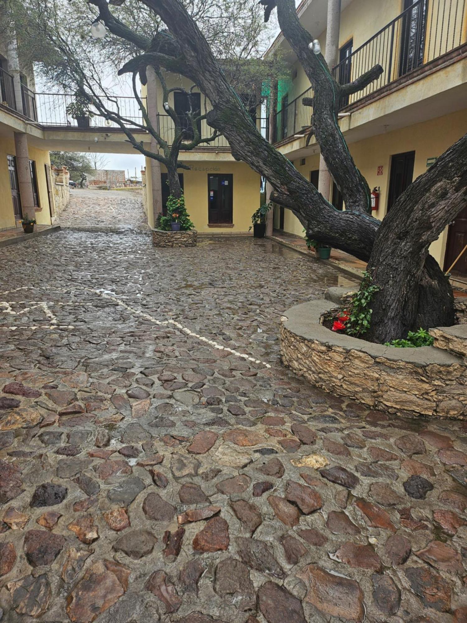 ברנל Hotel Villa Aurora מראה חיצוני תמונה